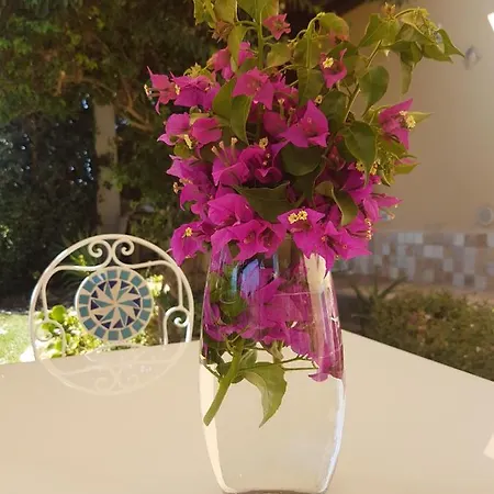 Casa Bouganville Apartment Palmadula