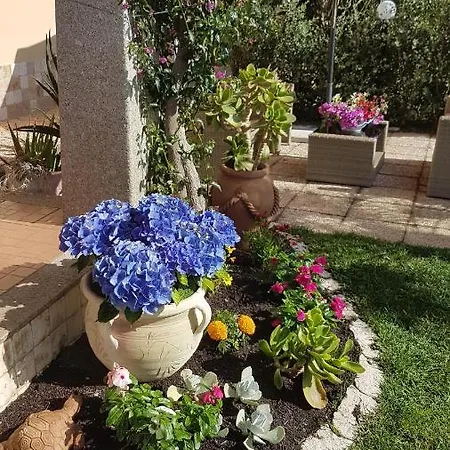 Casa Bouganville *